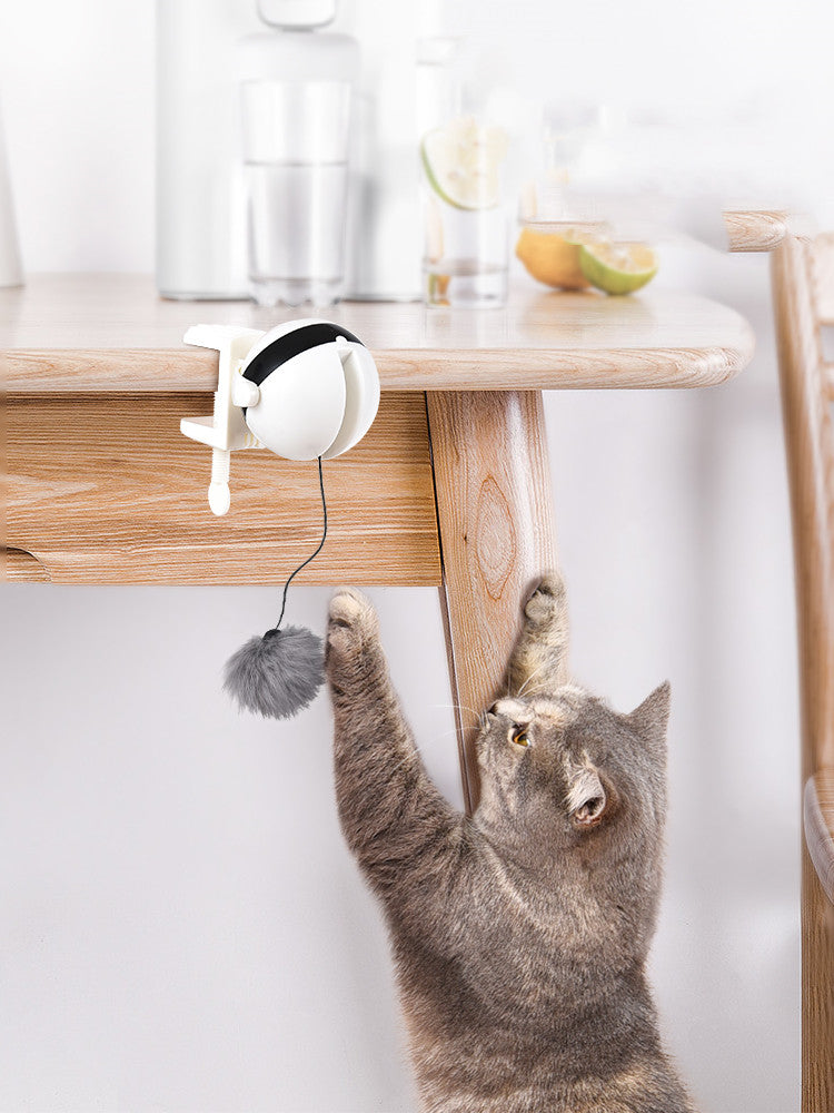 Automatic Lifting Motion Cat Toy