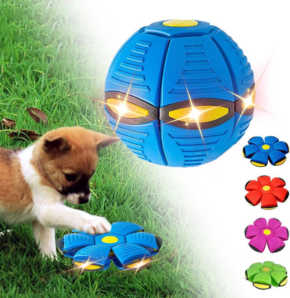 Doggy Disc Ball